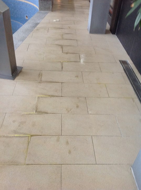 11147053_448964578594740_4204824041106818391_o.jpg 11147053_448964578594740_4204824041106818391_o.jpg