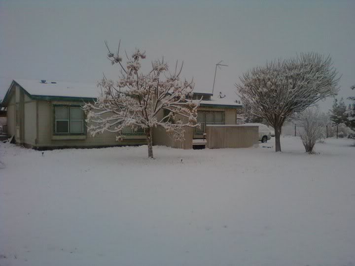 2011snow3.jpg