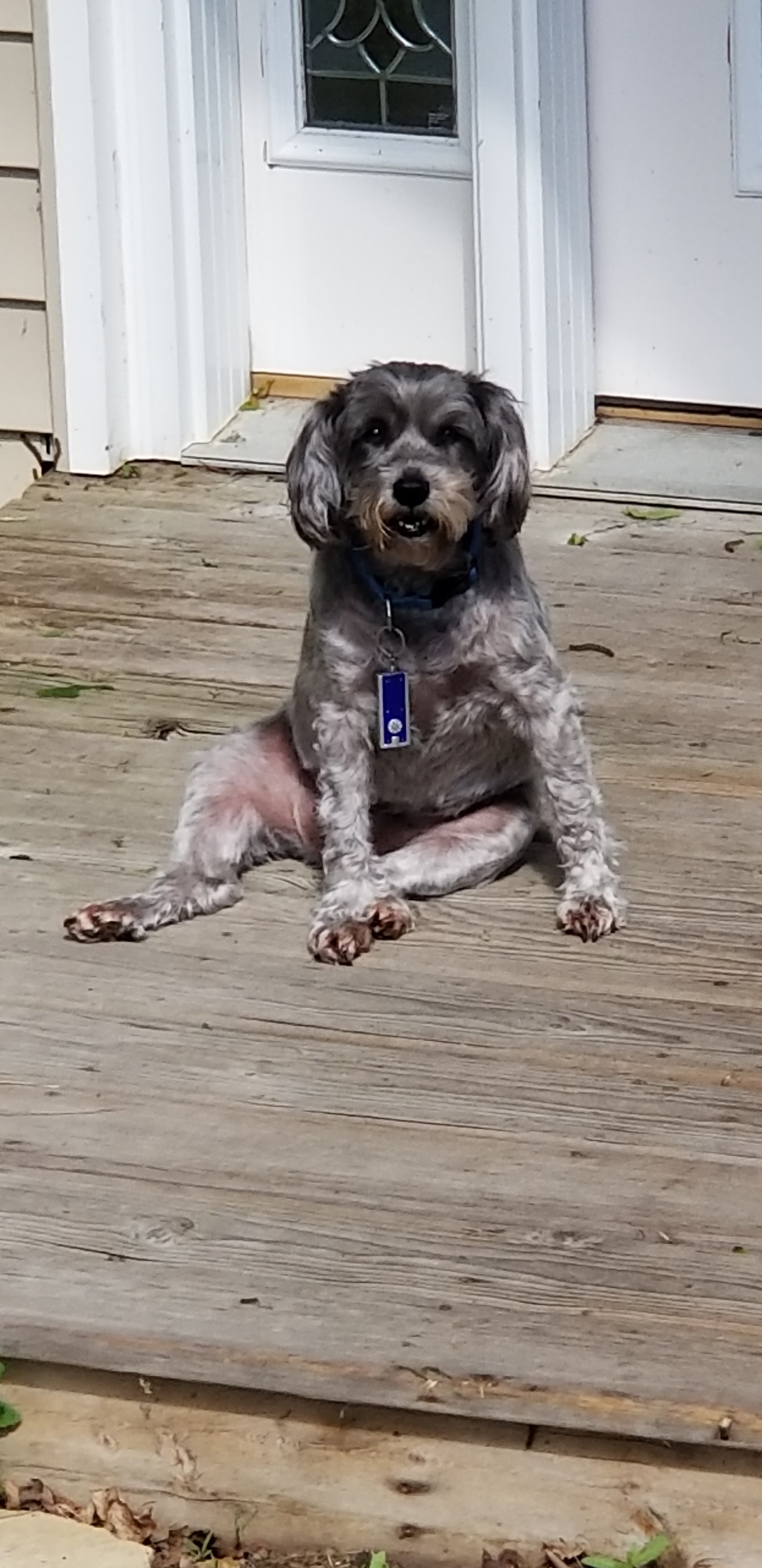 20180608_160435.jpg