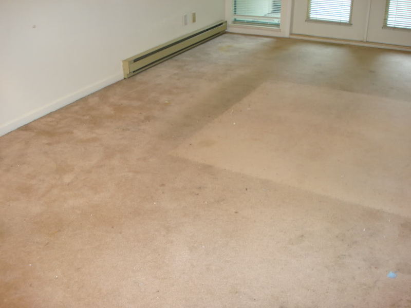 carpetcleaning002.jpg